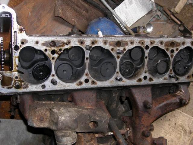 P9031052.JPG