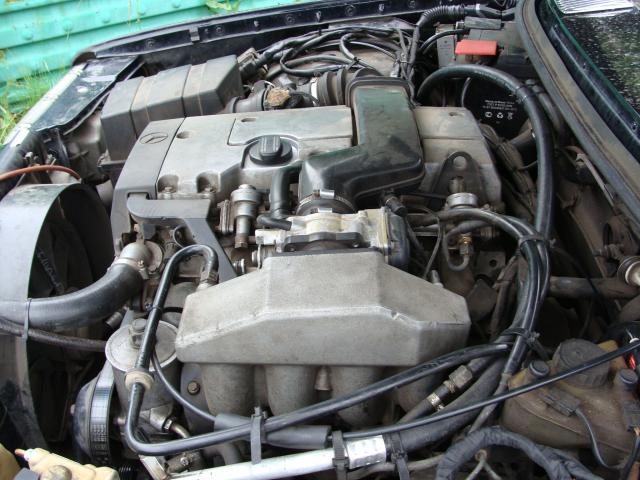 DSC06279.JPG