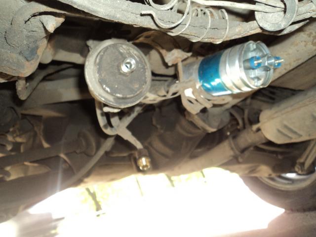 DSC03371df.jpg