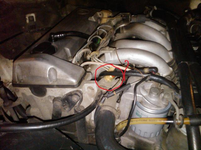 IMG00487_20121121_0349.jpg