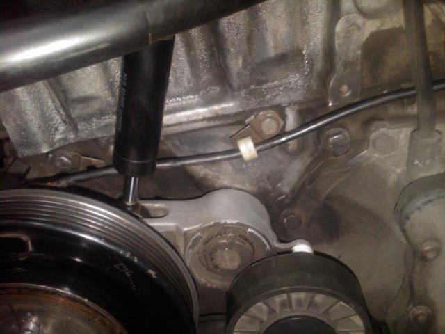 IMG00669_20130318_0104.jpg