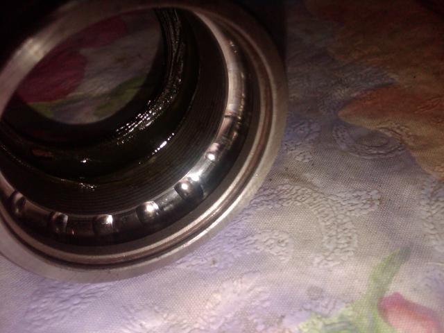 IMG00672_20130318_1843.jpg