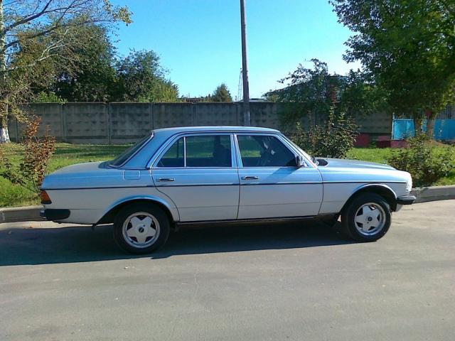 y_80bdc9d1.jpg
