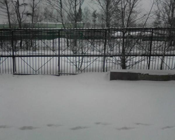 IMG0006A.jpg