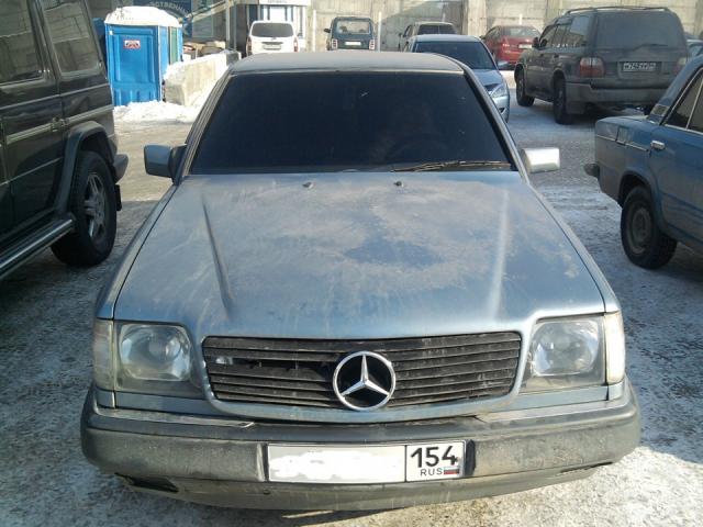 48cec11444e73101_large.jpg