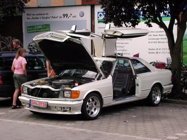 c126sgsflgeltrerwinsen2ya3.jpg