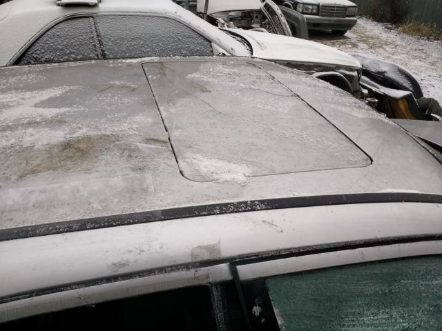 IMG_20191129_121459.jpg