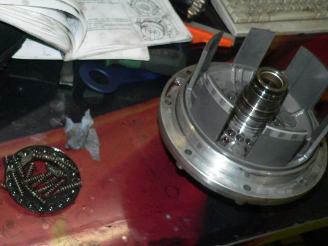 P1230604.JPG