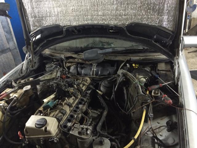 9442e42s_960.jpg
