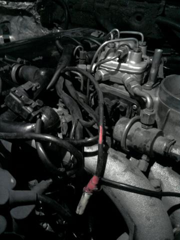 P300112_13.32.jpg