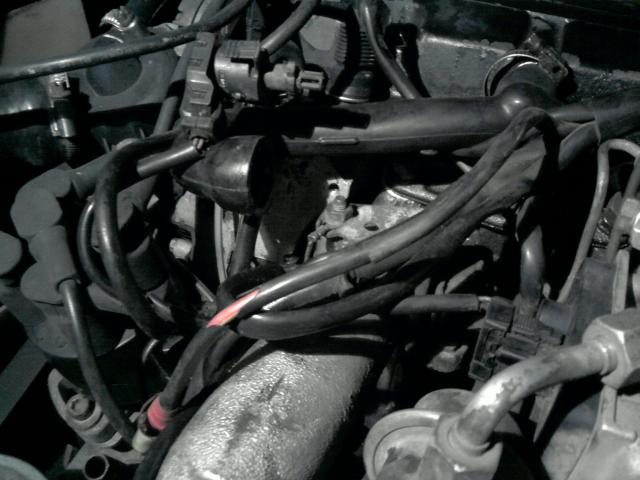 P300112_13.32_01.jpg