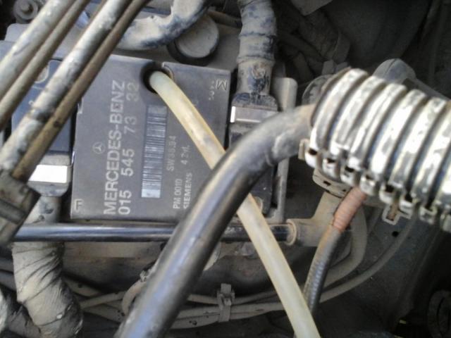 20190218_115147.jpg