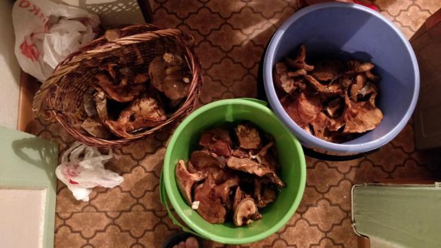 IMG_20181013_191818.jpg