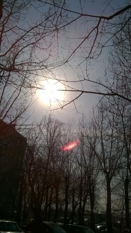 WP_20150320_001.jpg