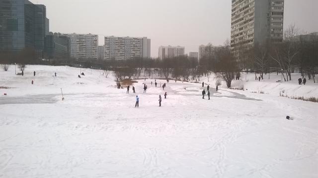 WP_20160110_001.jpg