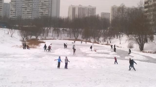WP_20160110_002.jpg