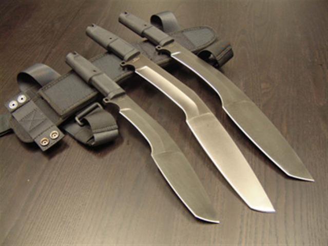 kukri_testudo__Small_.jpg