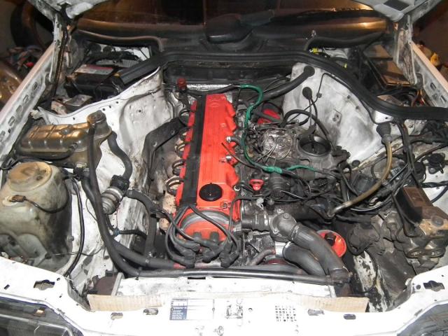 35897024.jpg