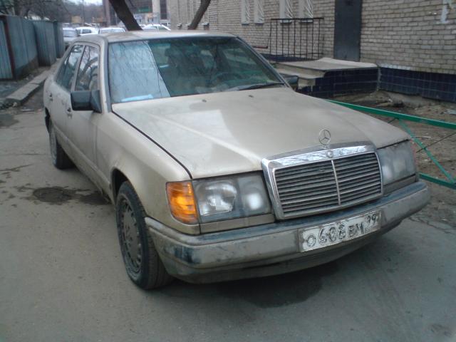 DSC00186.JPG