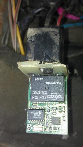 IMAG0397.jpg