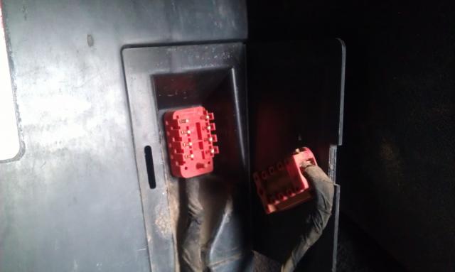 IMAG0167.jpg