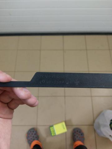 IMAG0810.jpg