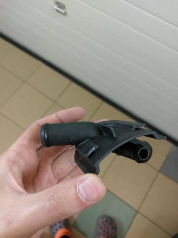 IMAG0816.jpg