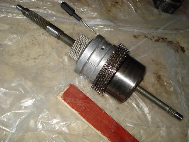 DSC08523.JPG