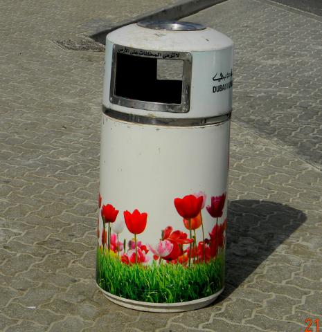 DSCN2091.JPG