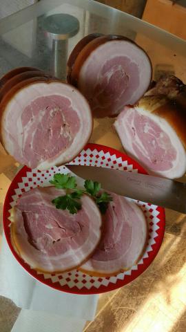 панчета су вид.jpg