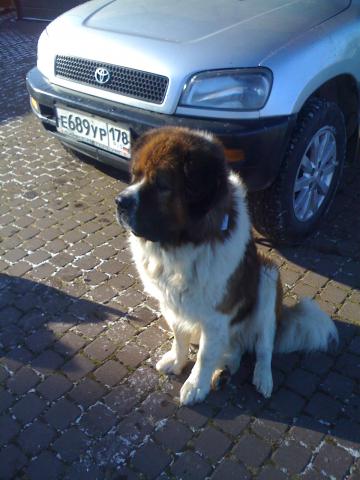 2017-11-01 12-17-36.JPG