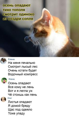 сопля.jpg