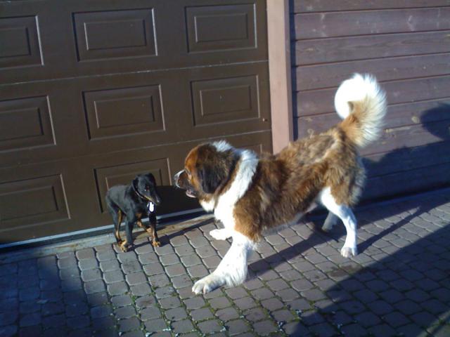 2017-11-01 11-52-40.JPG