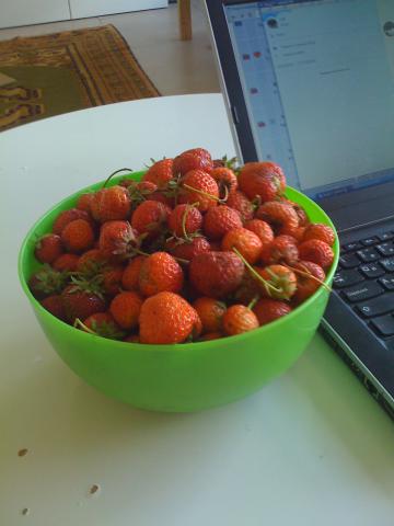 клубника.jpg