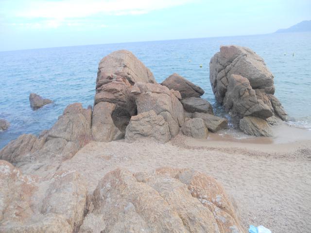 030.JPG