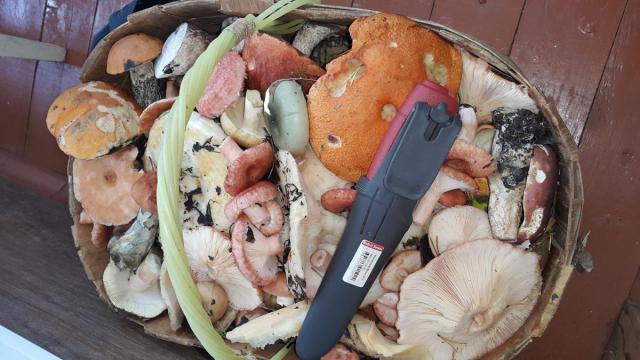 20160821_115615.jpg
