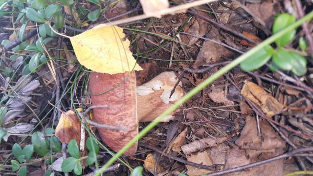 20160911_085753.jpg