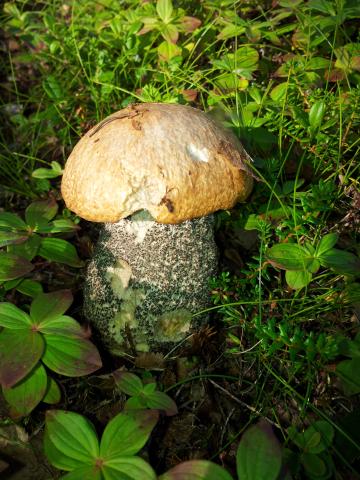 20120811_103804.jpg