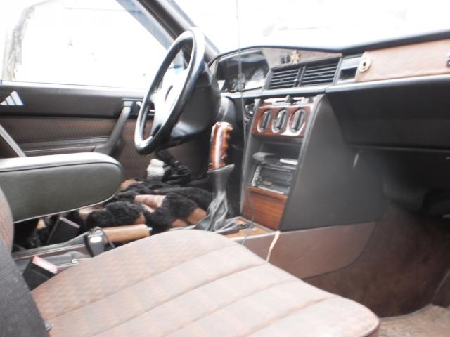 P1010017.JPG
