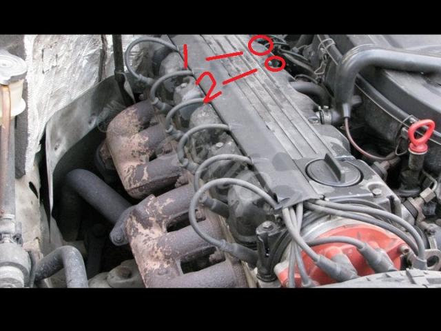 661f9319.jpg