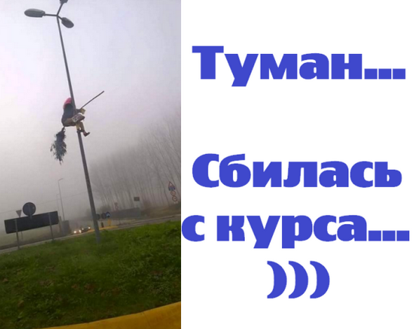 9fb08e219b8f (1).pnggk.if.png