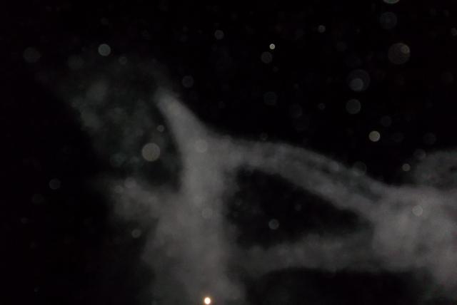 100_3140.JPG