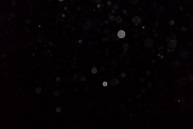 100_3141.JPG