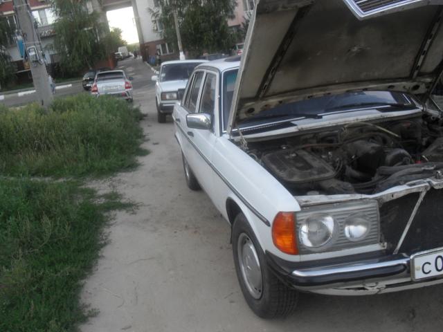 SDC14018.JPG