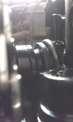 IMAG0805.jpg