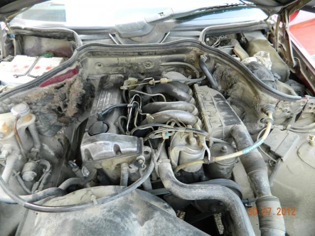 DSCN1033.JPG