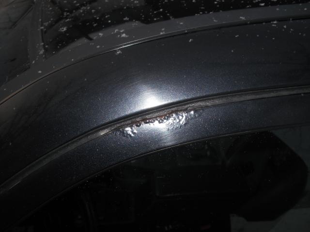 DSCF1153.jpg