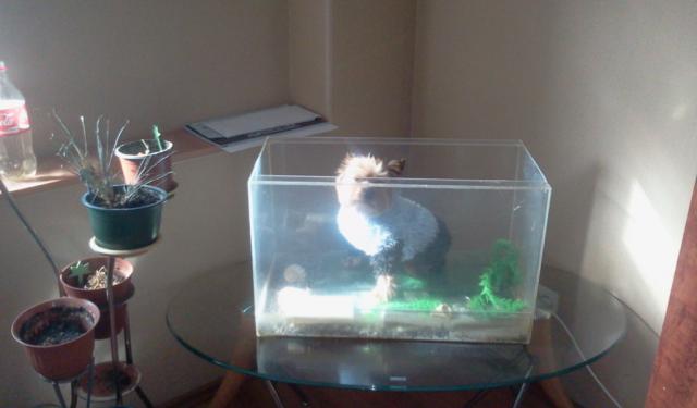 2012_05_01_16.09.56.jpg