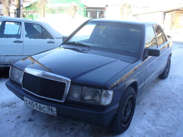P1020428.JPG
