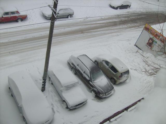 S7300309.JPG